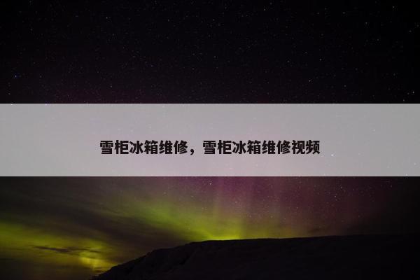 雪柜冰箱维修，雪柜冰箱维修视频