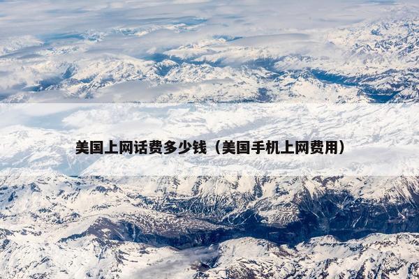 美国上网话费多少钱（美国手机上网费用）
