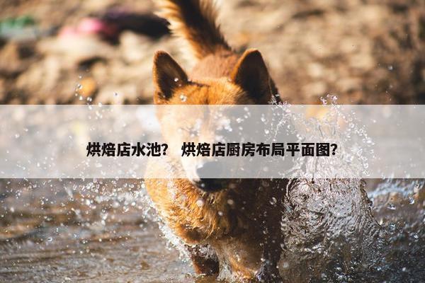 烘焙店水池？ 烘焙店厨房布局平面图？