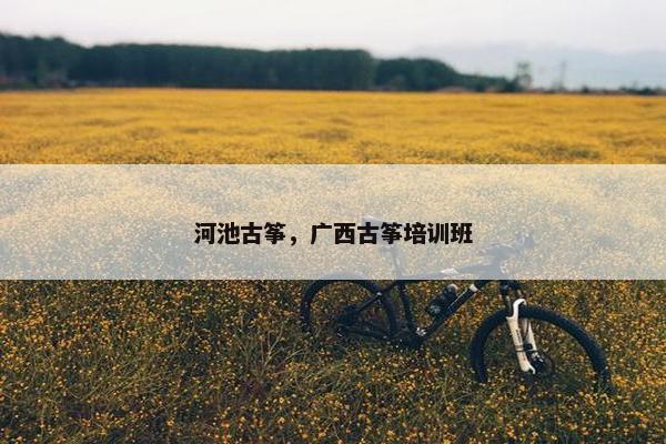 河池古筝，广西古筝培训班