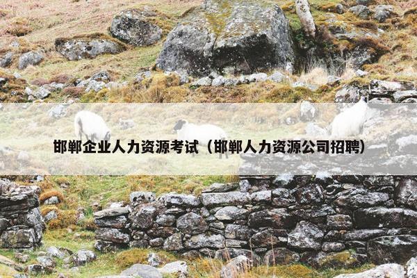 邯郸企业人力资源考试（邯郸人力资源公司招聘）