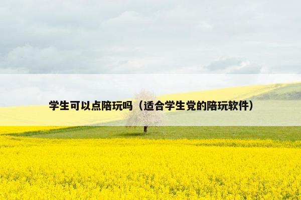 学生可以点陪玩吗（适合学生党的陪玩软件）