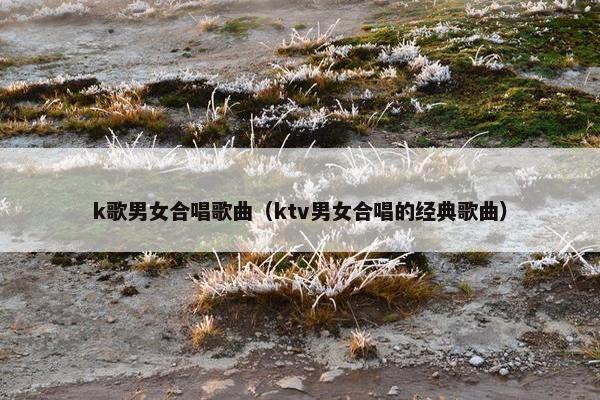 k歌男女合唱歌曲（ktv男女合唱的经典歌曲）