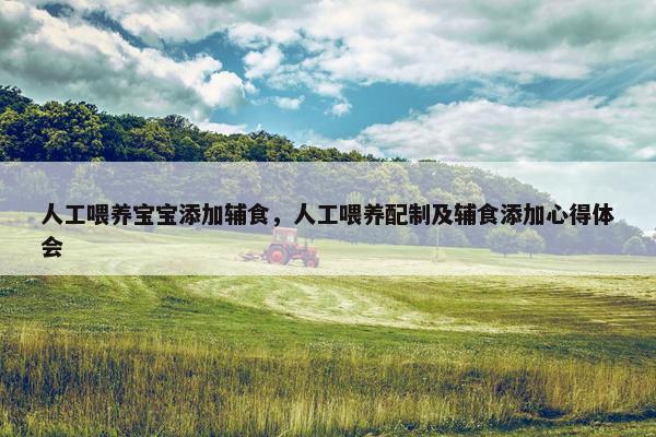 人工喂养宝宝添加辅食，人工喂养配制及辅食添加心得体会