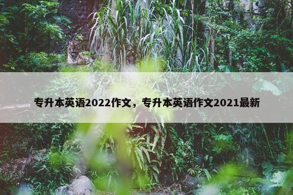 专升本英语2022作文，专升本英语作文2021最新