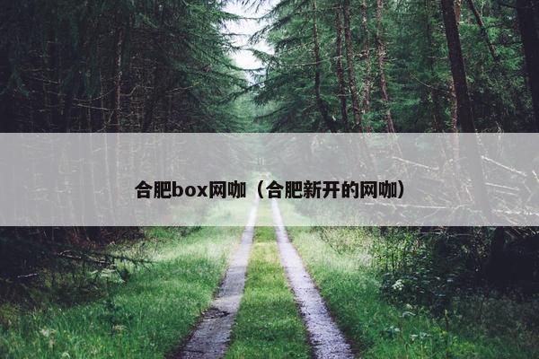 合肥box网咖（合肥新开的网咖）