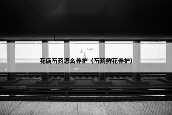 花店芍药怎么养护(芍药鲜花养护) 花店芍药怎么养护(芍药鲜花养护)