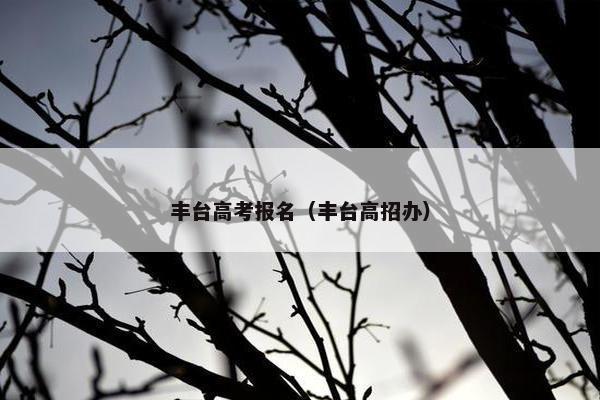丰台高考报名（丰台高招办）