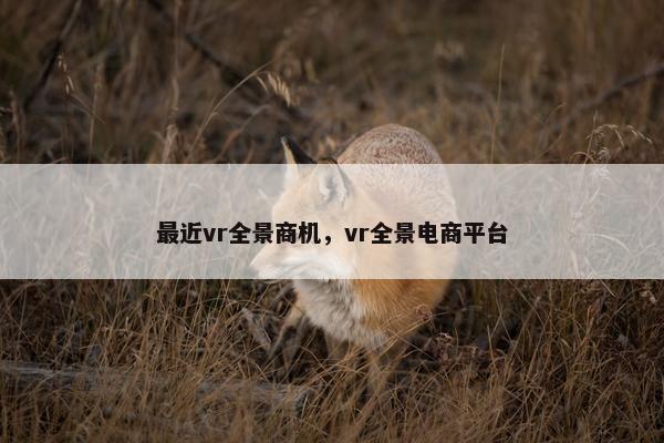 最近vr全景商机，vr全景电商平台