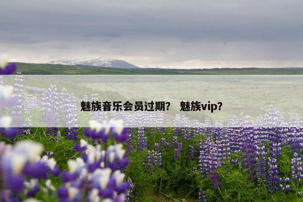 魅族音乐会员过期？ 魅族vip？