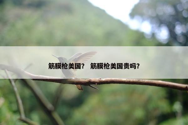 筋膜枪美国？ 筋膜枪美国贵吗？