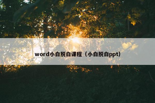 word小白脱白课程（小白脱白ppt）
