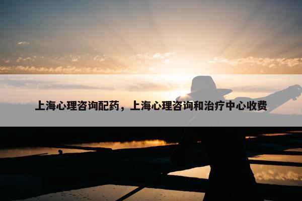 上海心理咨询配药，上海心理咨询和治疗中心收费