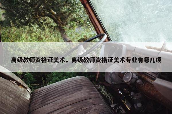 高级教师资格证美术，高级教师资格证美术专业有哪几项