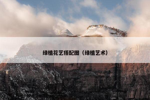 绿植花艺搭配图（绿植艺术）