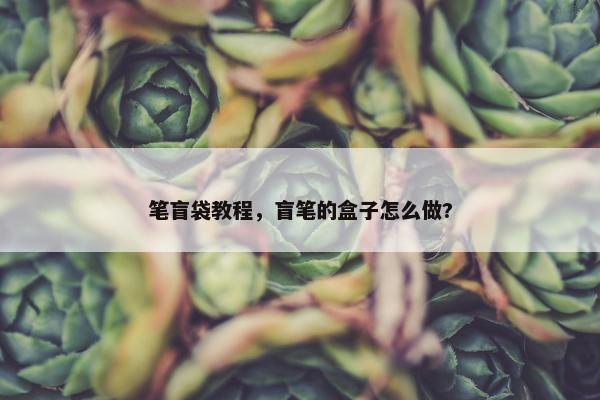 笔盲袋教程,盲笔的盒子怎么做? 笔盲袋教程,盲笔的盒子怎么做?