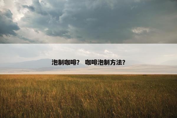 泡制咖啡？ 咖啡泡制方法？