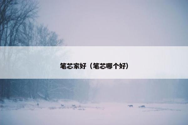 笔芯家好(笔芯哪个好) 笔芯家好(笔芯哪个好)