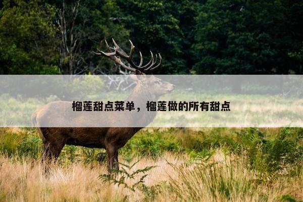 榴莲甜点菜单,榴莲做的所有甜点 榴莲甜点菜单,榴莲做的所有甜点