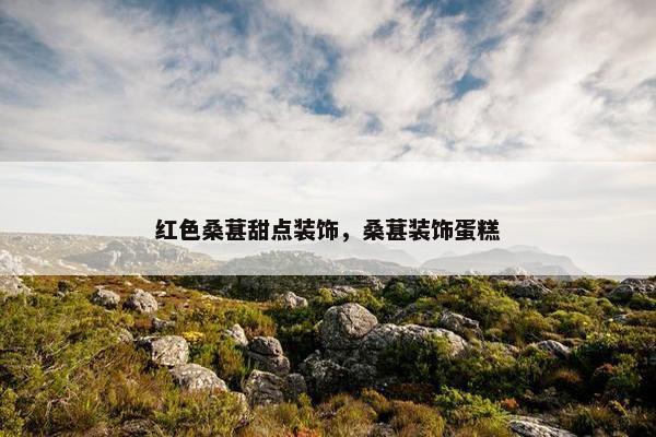 红色桑葚甜点装饰,桑葚装饰蛋糕 红色桑葚甜点装饰,桑葚装饰蛋糕