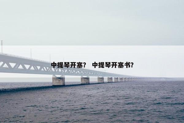 中提琴开塞? 中提琴开塞书? 中提琴开塞? 中提琴开塞书?