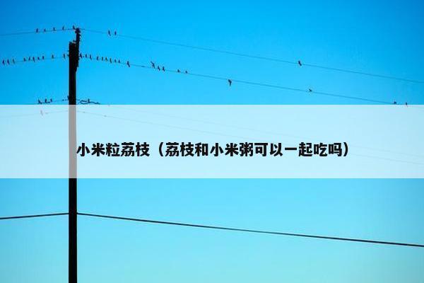 小米粒荔枝(荔枝和小米粥可以一起吃吗) 小米粒荔枝(荔枝和小米粥可以一起吃吗)