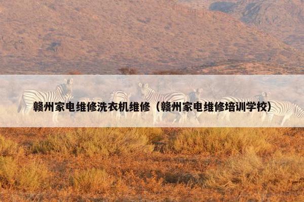 赣州家电维修洗衣机维修(赣州家电维修培训学校) 赣州家电维修洗衣机维修(赣州家电维修培训学校)