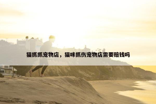 猫抓抓宠物店,猫咪抓伤宠物店需要赔钱吗 猫抓抓宠物店,猫咪抓伤宠物店需要赔钱吗