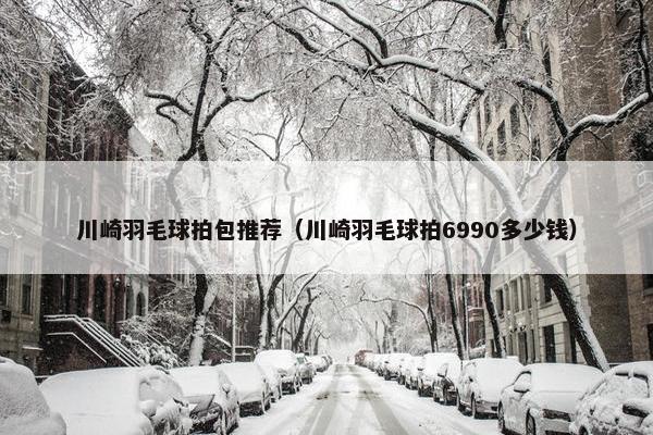 川崎羽毛球拍包推荐（川崎羽毛球拍6990多少钱）