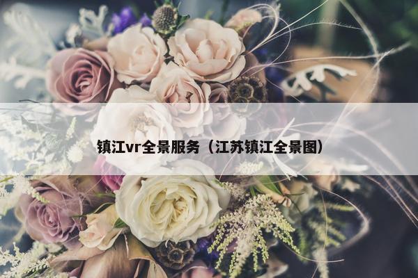 镇江vr全景服务（江苏镇江全景图）