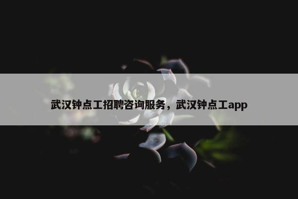 武汉钟点工招聘咨询服务，武汉钟点工app