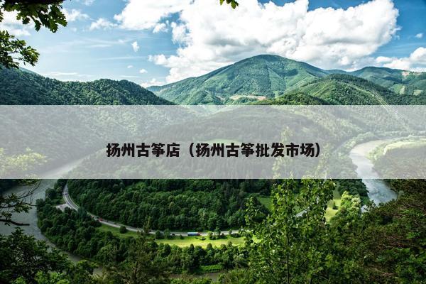 扬州古筝店（扬州古筝批发市场）