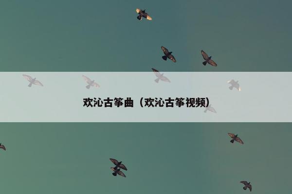 欢沁古筝曲（欢沁古筝视频）