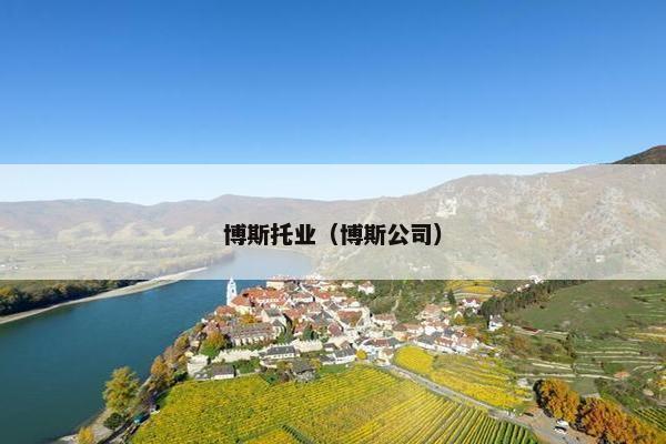 博斯托业（博斯公司）