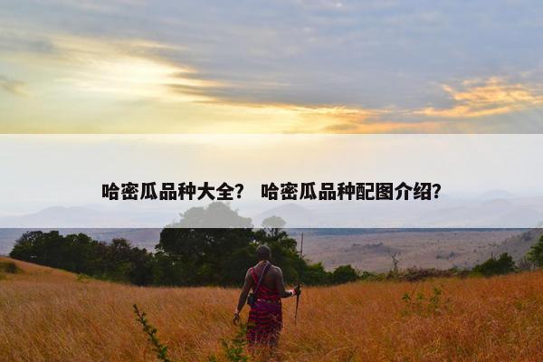 哈密瓜品种大全？ 哈密瓜品种配图介绍？