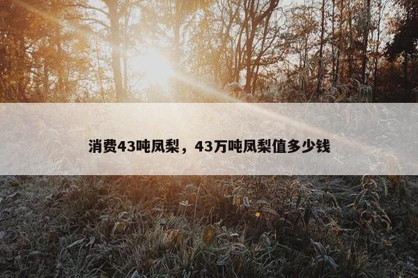 消费43吨凤梨,43万吨凤梨值多少钱 消费43吨凤梨,43万吨凤梨值多少钱