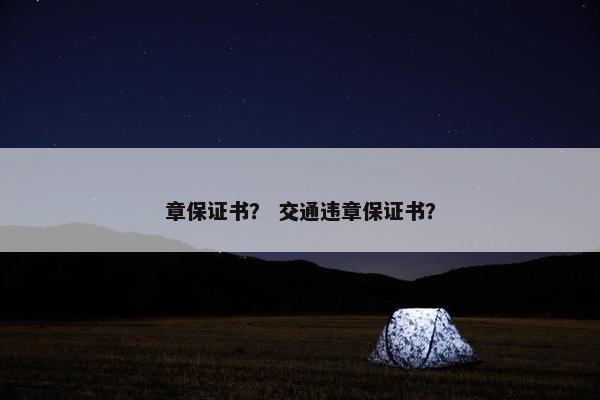 章保证书? 交通违章保证书? 章保证书? 交通违章保证书?