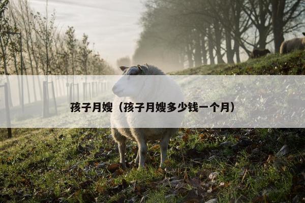 孩子月嫂(孩子月嫂多少钱一个月) 孩子月嫂(孩子月嫂多少钱一个月)
