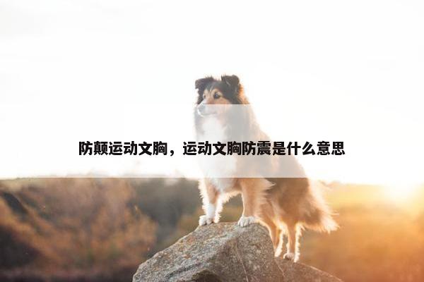 防颠运动文胸，运动文胸防震是什么意思