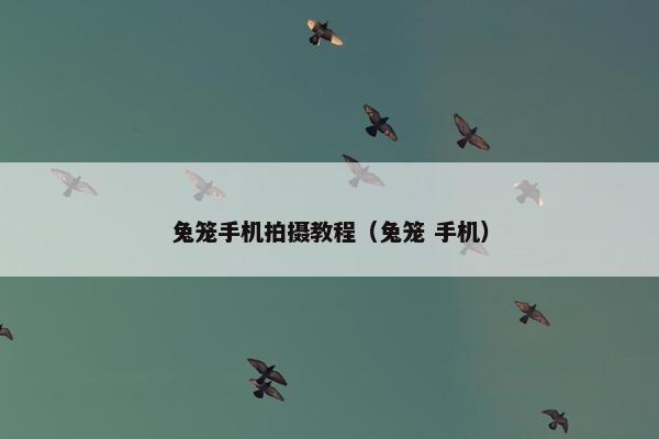 兔笼手机拍摄教程(兔笼 手机) 兔笼手机拍摄教程(兔笼 手机)