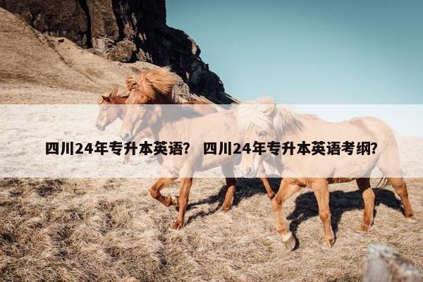 四川24年专升本英语? 四川24年专升本英语考纲? 四川24年专升本英语? 四川24年专升本英语考纲?