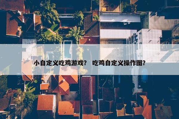 小自定义吃鸡游戏？ 吃鸡自定义操作图？
