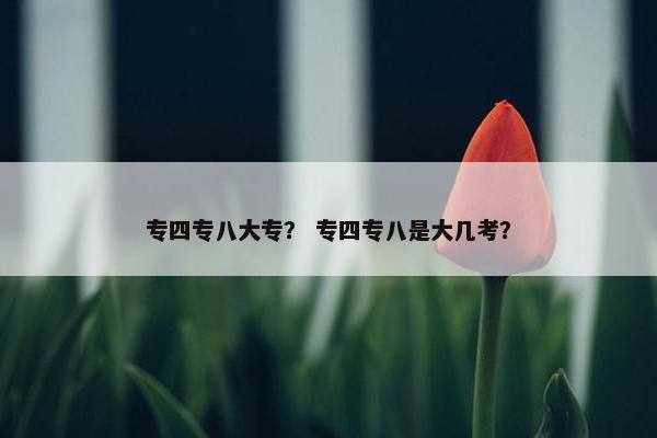 专四专八大专? 专四专八是大几考? 专四专八大专? 专四专八是大几考?
