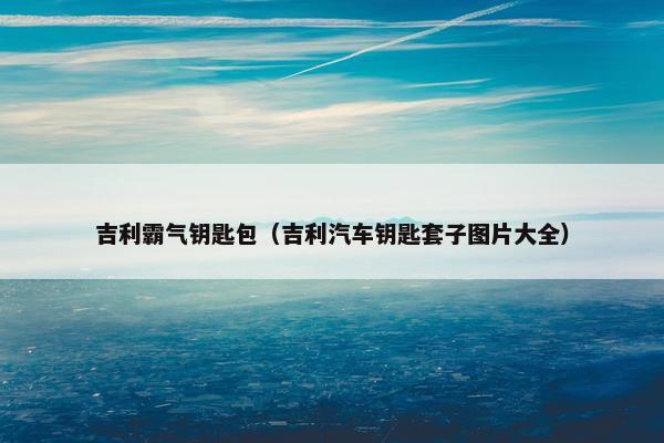 吉利霸气钥匙包（吉利汽车钥匙套子图片大全）