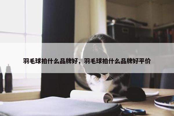 羽毛球拍什么品牌好，羽毛球拍什么品牌好平价