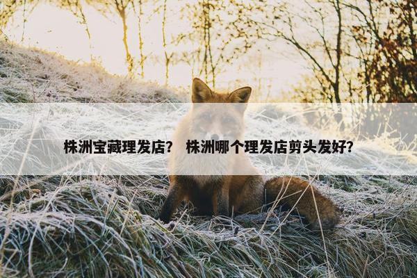 株洲宝藏理发店? 株洲哪个理发店剪头发好? 株洲宝藏理发店? 株洲哪个理发店剪头发好?