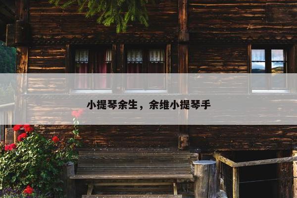 小提琴余生,余维小提琴手 小提琴余生,余维小提琴手