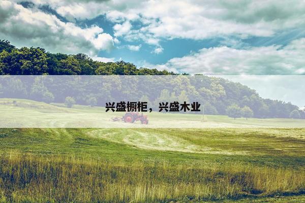 兴盛橱柜，兴盛木业