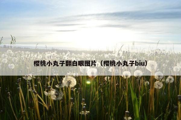 樱桃小丸子翻白眼图片(樱桃小丸子biu) 樱桃小丸子翻白眼图片(樱桃小丸子biu)