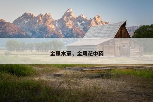 金凤本草,金凤花中药 金凤本草,金凤花中药